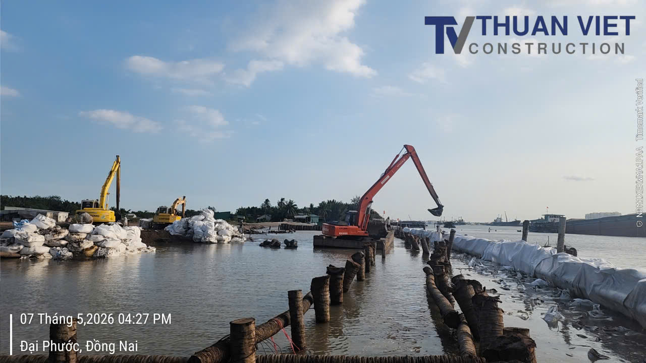 Thi công hai hàng cừ dừa tạo hệ kè mềm giữ cát